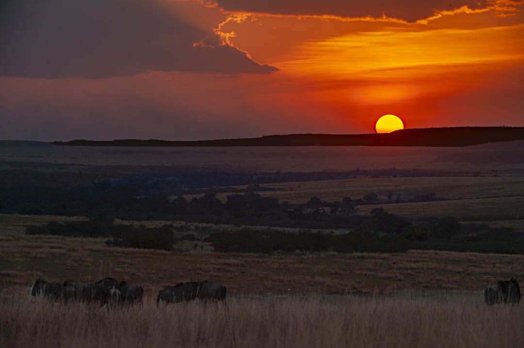Maasai Mara — Light on the land